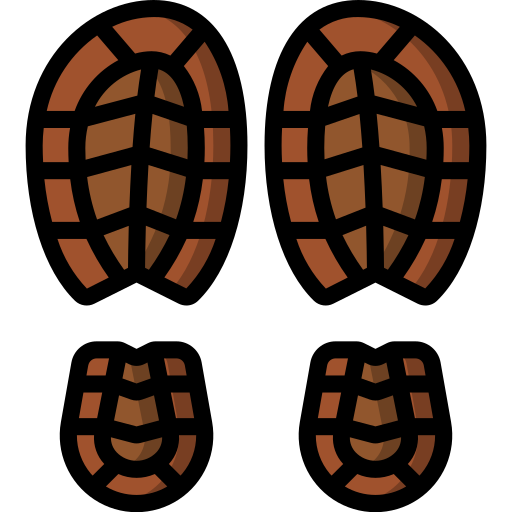 footprints